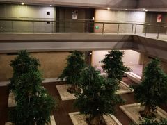 -南京禄口机场雅高铂尔曼大酒店