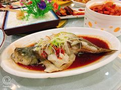 清蒸鲈鱼-津悦·正阳春烤鸭(红旗南路店)