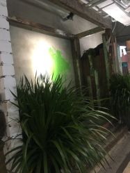 点击看大图 -salon漫