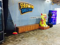 -贝壳梦幻世界