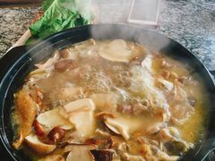 -蘑统田下·野生菌火锅