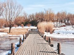 -马家湾湿地公园