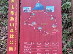 -银瓶嘴森林公园