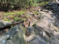 -岣嵝峰国家森林公园