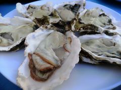 -千岛蚝高压锅生蚝·人参火锅(白云万达店)