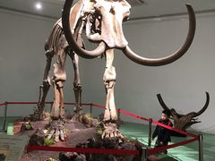 -南通洲际绿博园