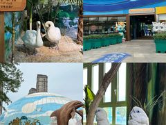 -海合安武汉极地海洋公园