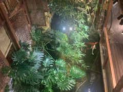 -聚缘堂·海鲜私房菜(松岭路店)