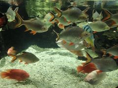 -太平洋海底世界