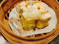 -新兴·金羊座·粤菜点心(乐峰店)
