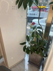 -一東造型烫发染发