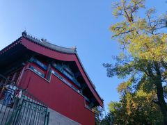 -香山公园