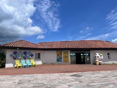 -济州森林小火车生态公园