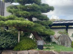 -南紀白浜 浜千鳥の湯 海舟