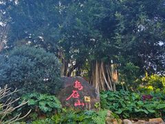 -乌山风景区