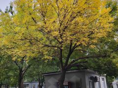 -望湖公园