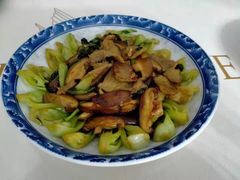 -好孕妈妈月嫂(沈河总店)