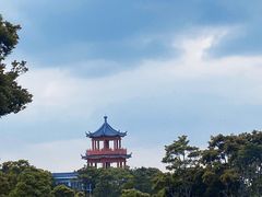 -梧桐山风景名胜区