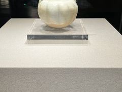 -四川宋瓷博物馆