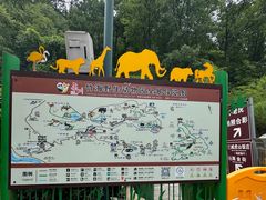 -栾川竹海野生动物园