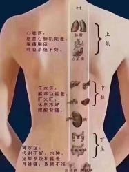 点击看大图 -香薇妮丝女子减肥院
