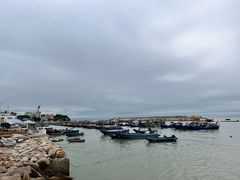 -汕尾风车岛