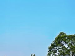 -荔香公园