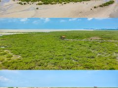 -北海金海湾红树林生态旅游区