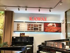 -柏斯琴行(汾阳店)