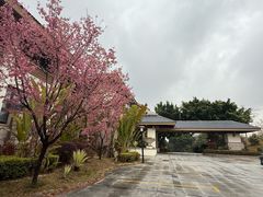 -福建鲤鱼洲酒店