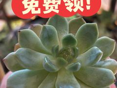 -蝦塘·中国餐馆(城墙南马道巷店)