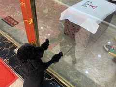 -郑远元专业修脚房·按摩·肉刺·灰指甲(汉中门大街店)
