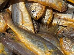 -荣记火锅(青悦城店)