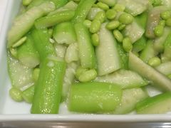 -椿不老