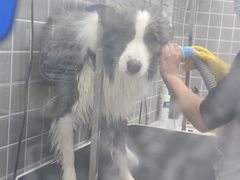 -它主义宠物(梁溪万达店)