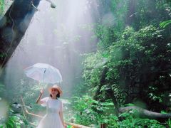 -青青世界