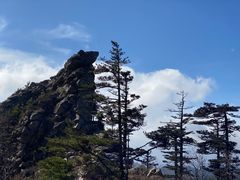 -朱雀国家森林公园