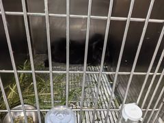 -爱侣宠医·鹦鹉专科·小型哺乳类·异宠专科(灵石路店)