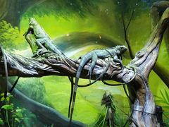 -华夏文旅海洋公园