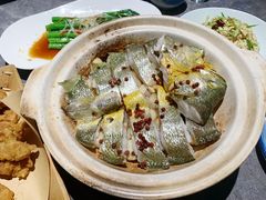 砂锅焗黄花鱼-1937青岛老味道·海肠捞饭·青岛菜(大鲍岛栈桥店)