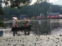 -荔湾湖公园
