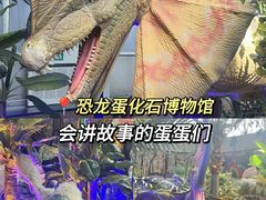 -中国西峡恐龙遗迹园