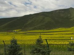 -扁都口生态休闲旅游区