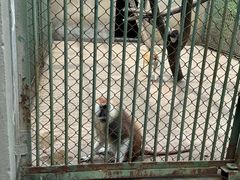 -合肥野生动物园
