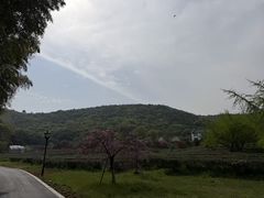 -龙寺生态园