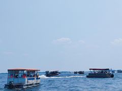 -白洋淀风景区