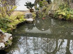-上海醉白池公园