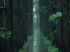 -同里国家湿地公园