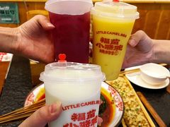 -福苗小骆驼烧烤(莲湖路店)