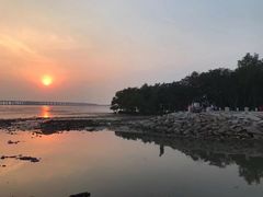 -宝安西湾红树林湿地公园